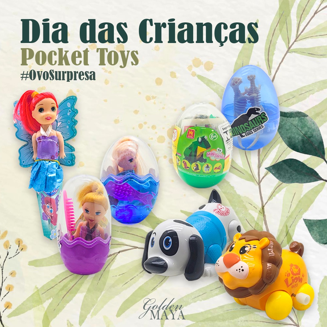 Pocket Toys